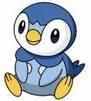 piplop pokemon
