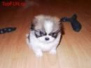 Poze cu Animale - dark_angel - Animale